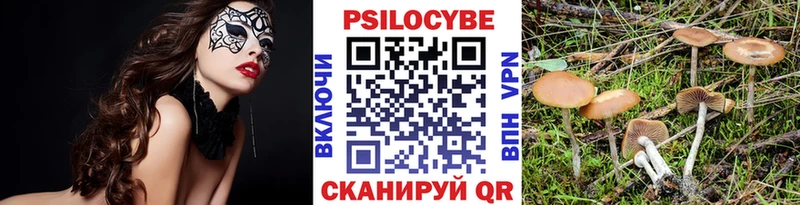 Псилоцибиновые грибы Magic Shrooms  Купить  Нефтекумск 